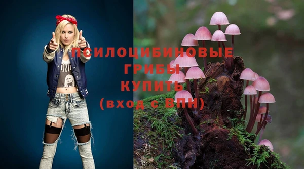 дживик Балахна